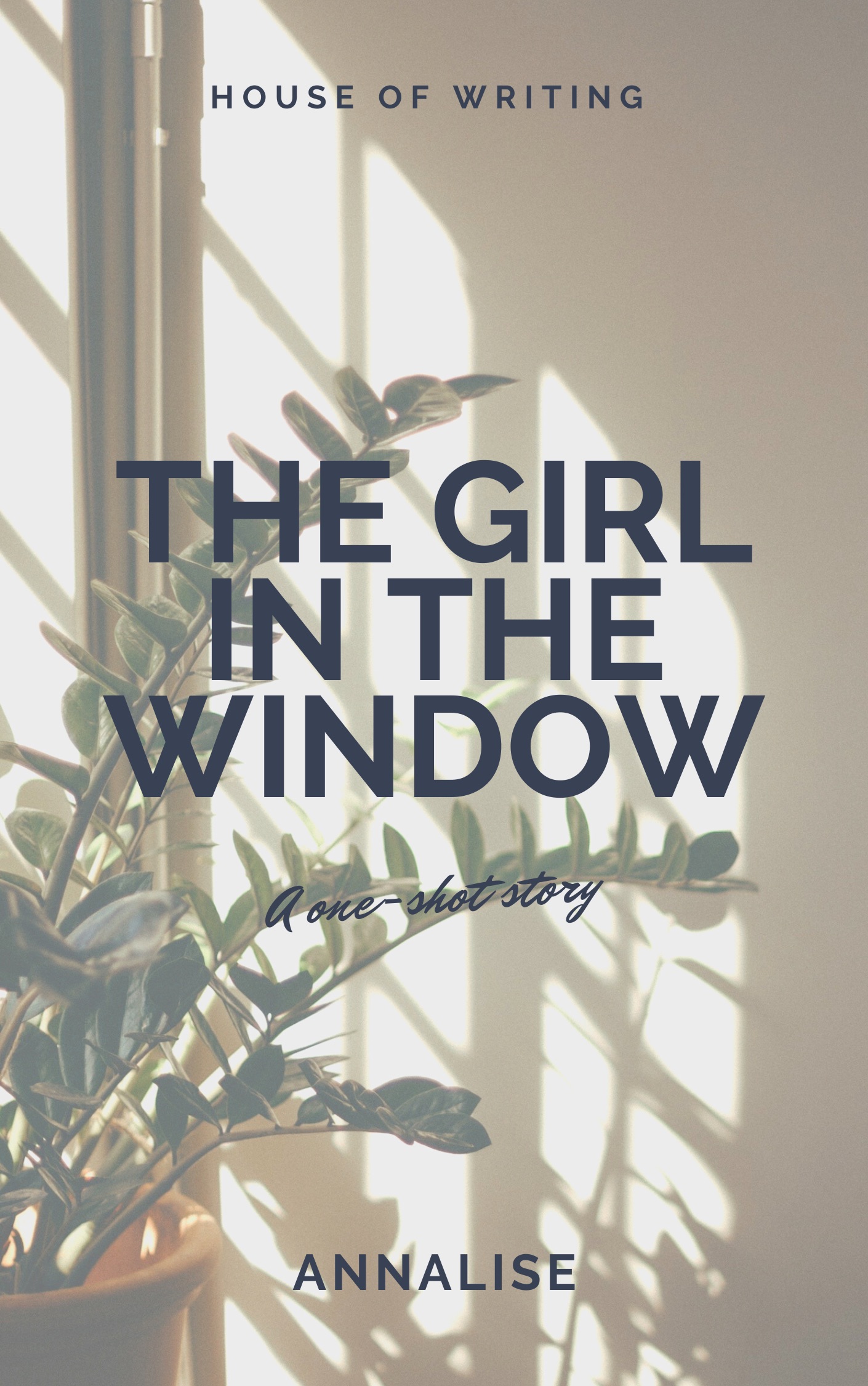 The Girl in The Window